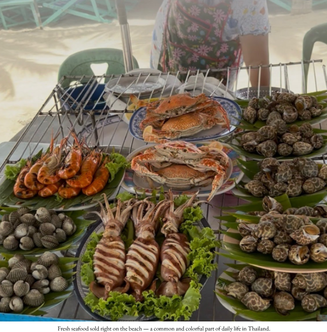 image-png-Jan-11-2026-07-46-15-5022-AM